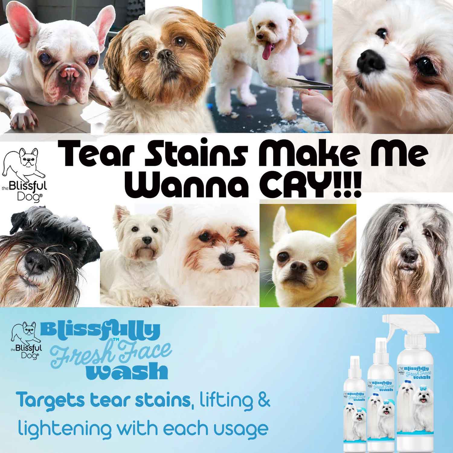 HELP DOG TEAR STAINS